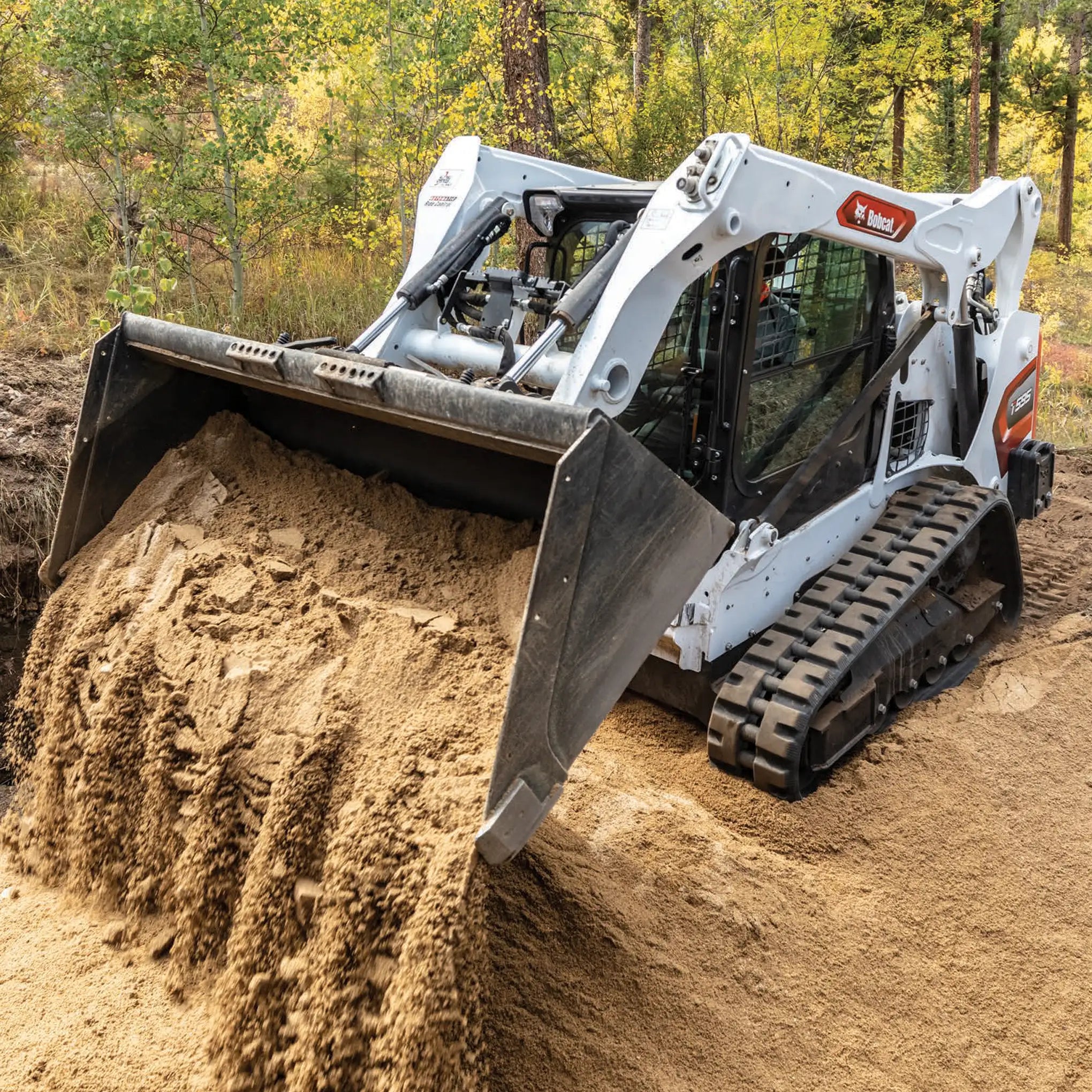 T595 | Bobcat