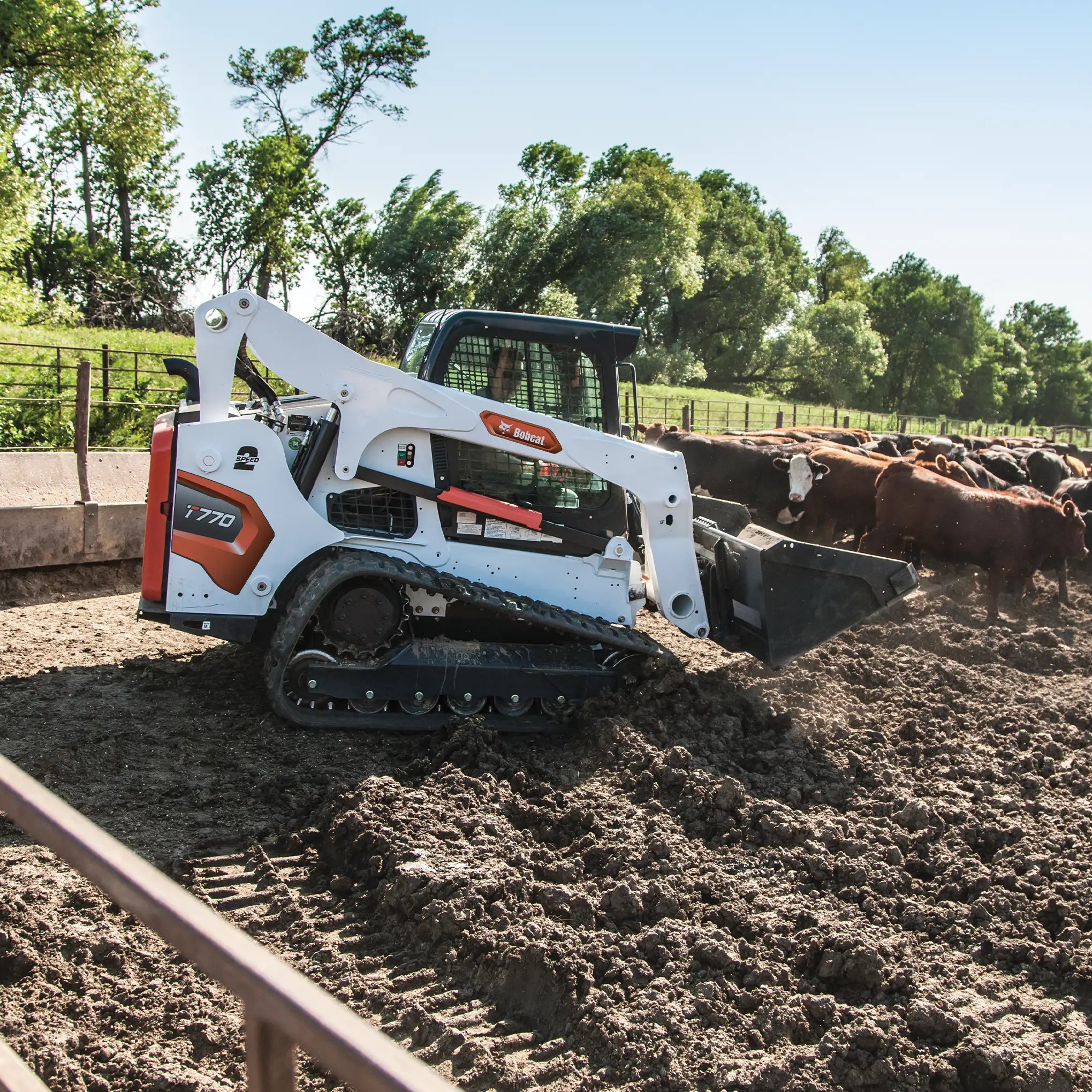 T770 | Bobcat