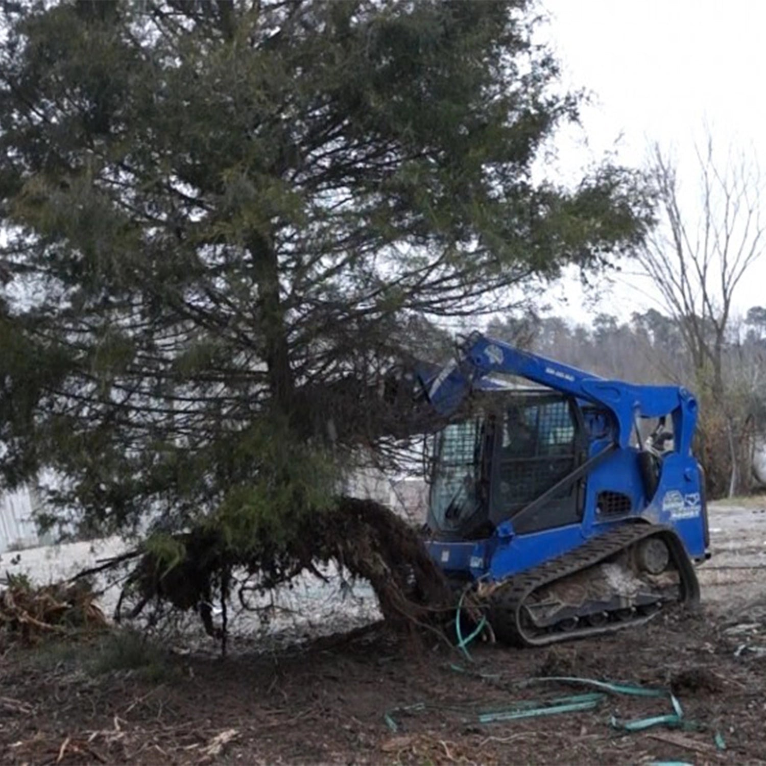 Tree Puller | Blue Diamond