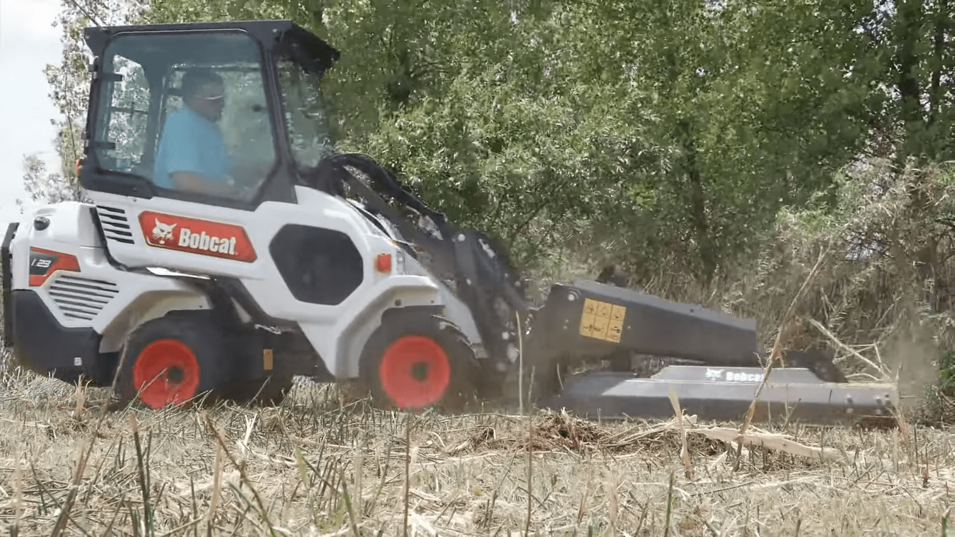Brushcat - Mini | Bobcat