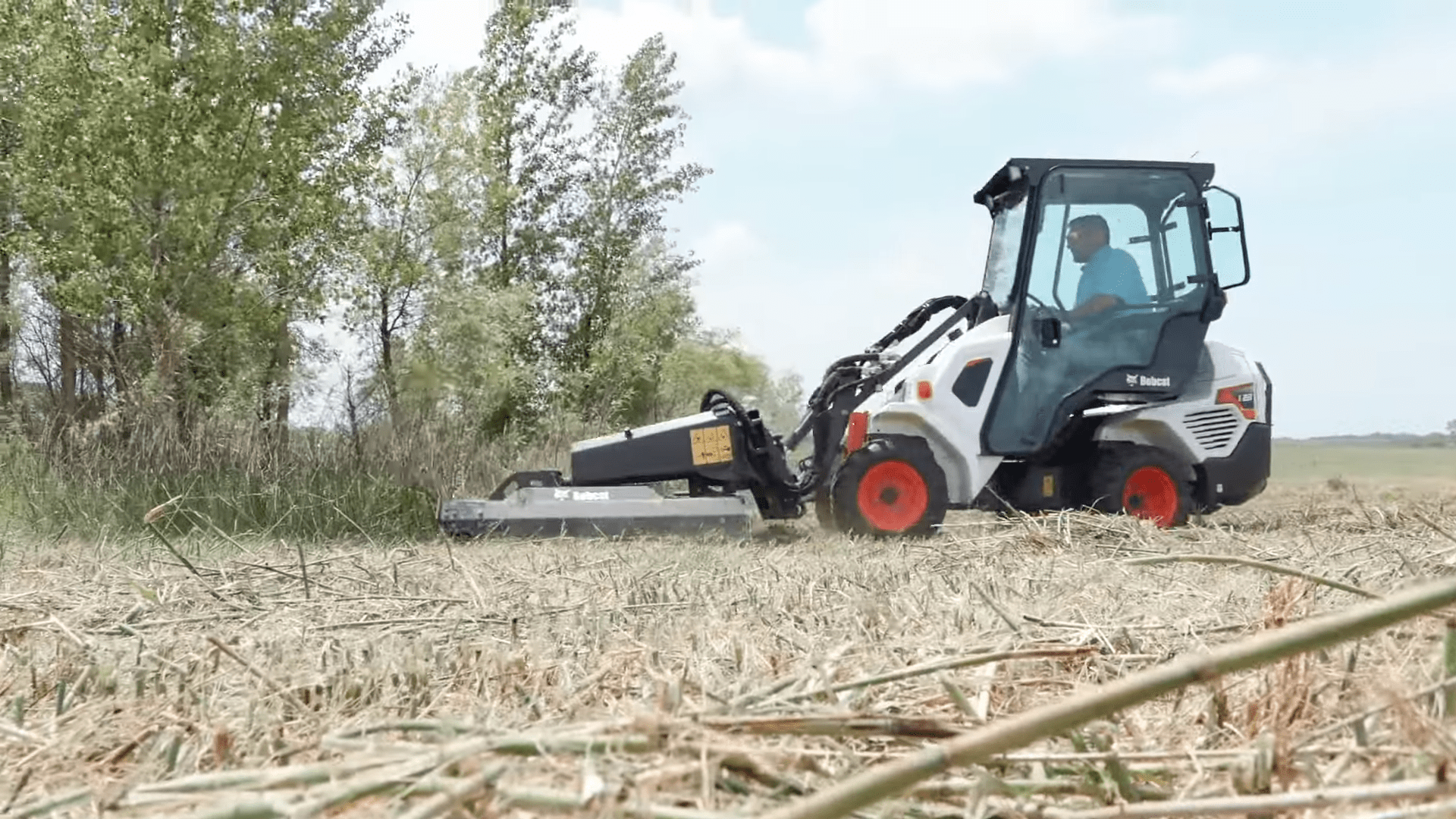 Brushcat - Mini | Bobcat