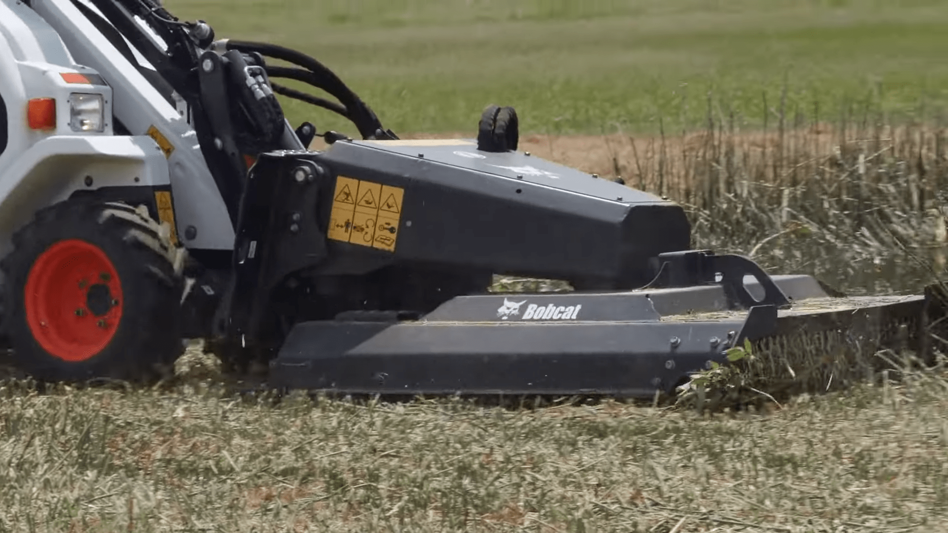 Brushcat - Mini | Bobcat