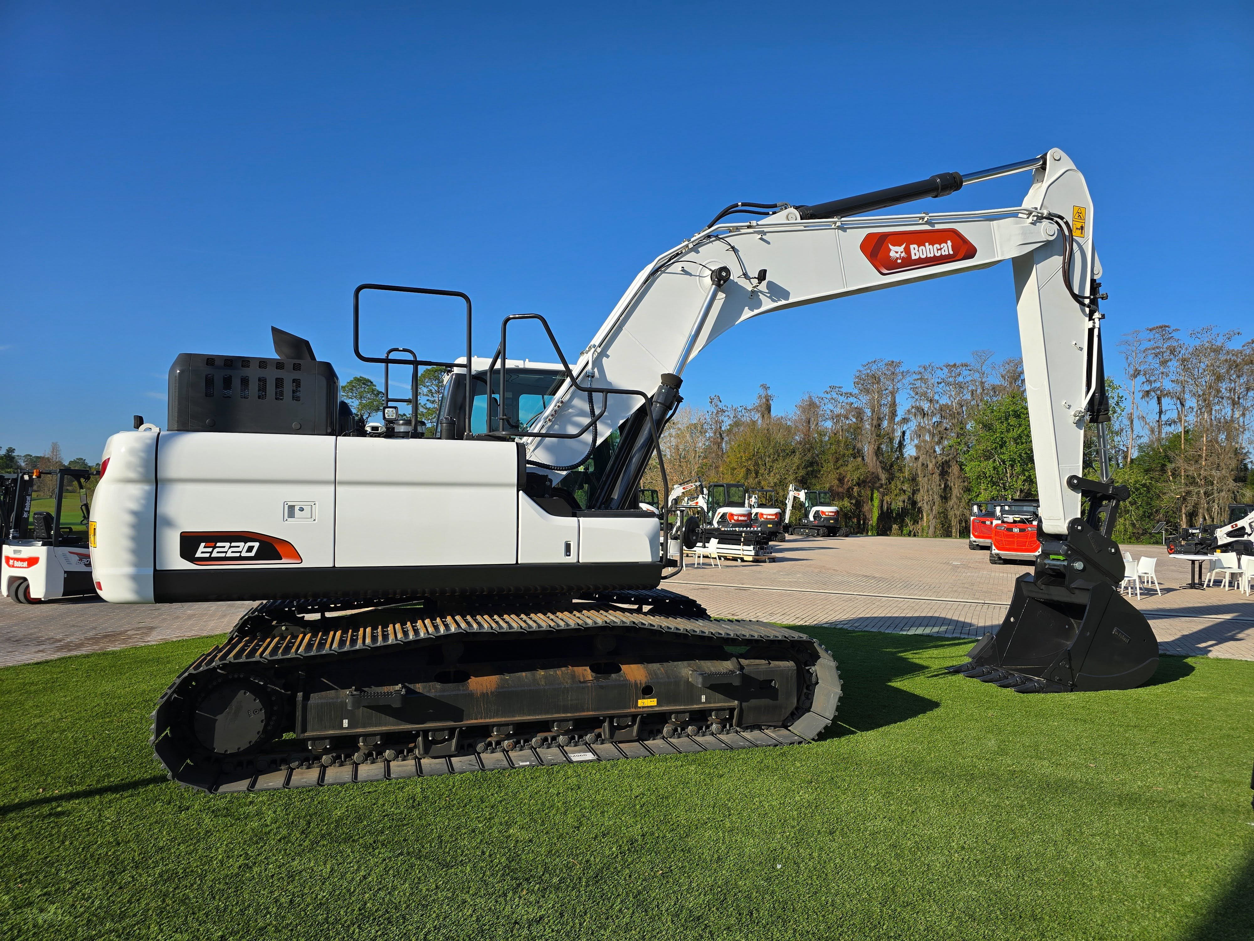 E220 | Bobcat