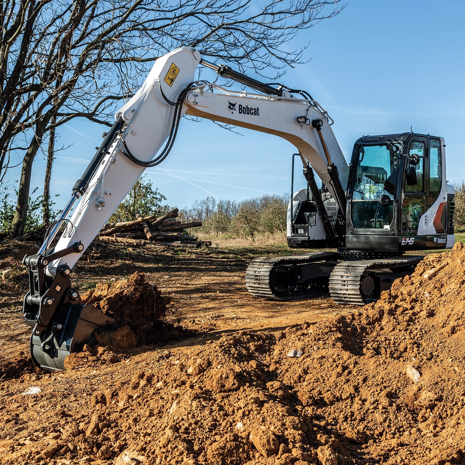 E145 | Bobcat