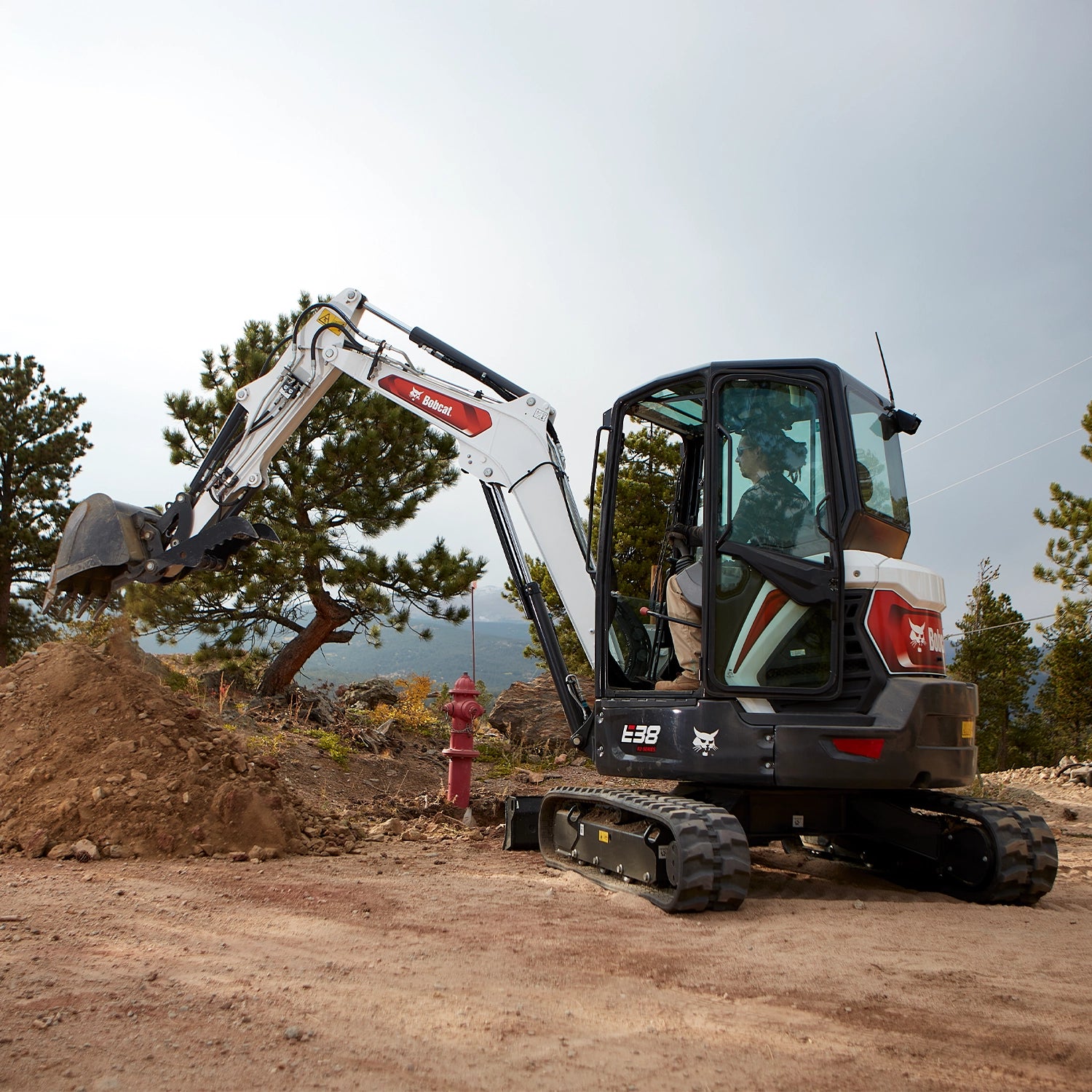 E38 | Bobcat