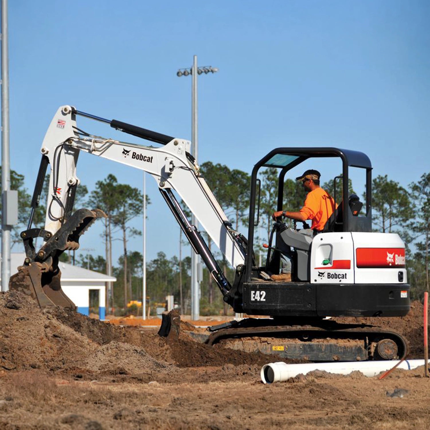 E42 | Bobcat