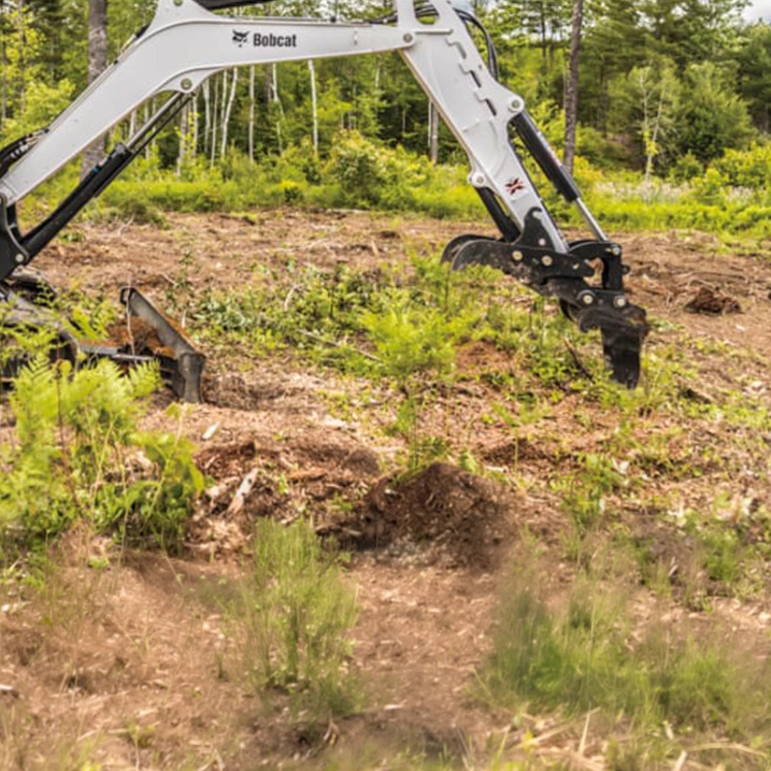 Frost Ripper | Bobcat