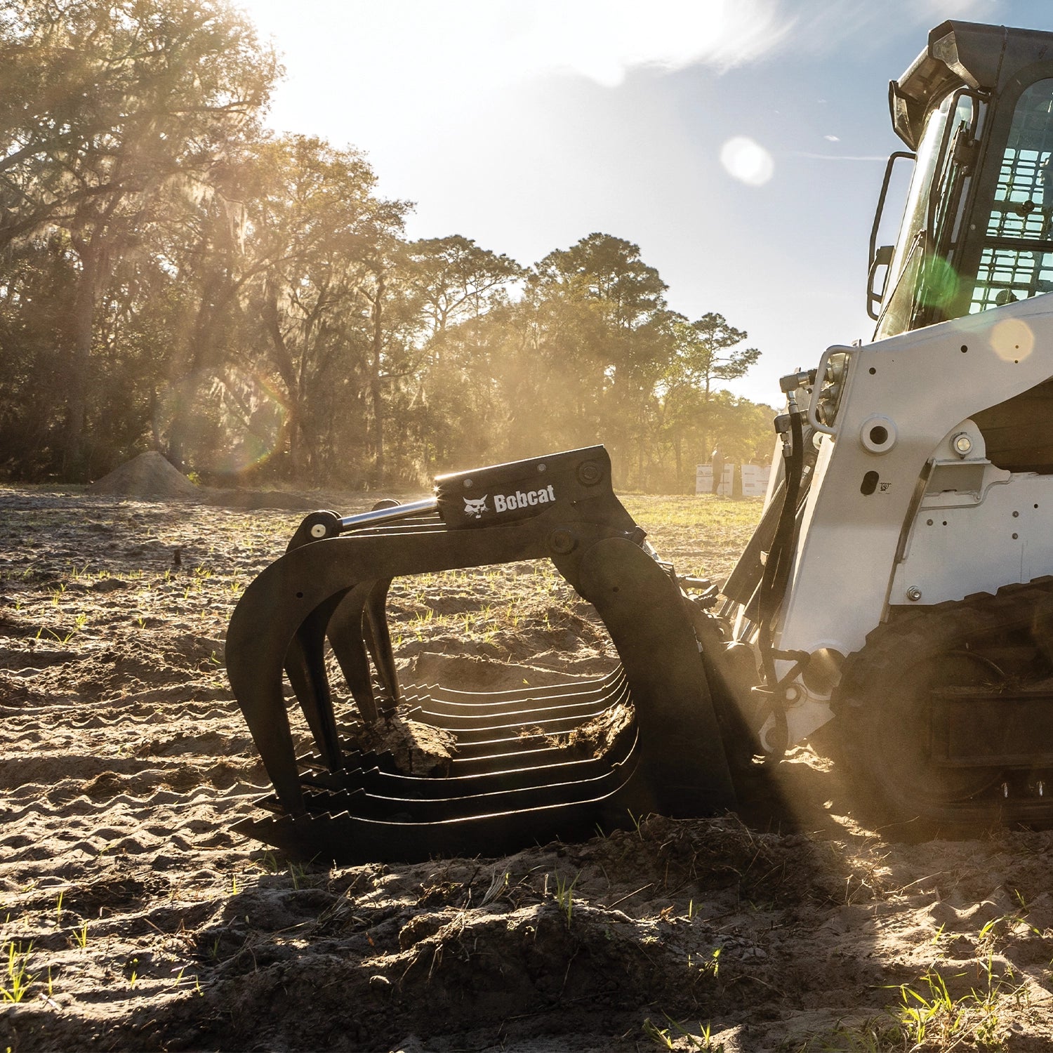 Grapple - Root | Bobcat