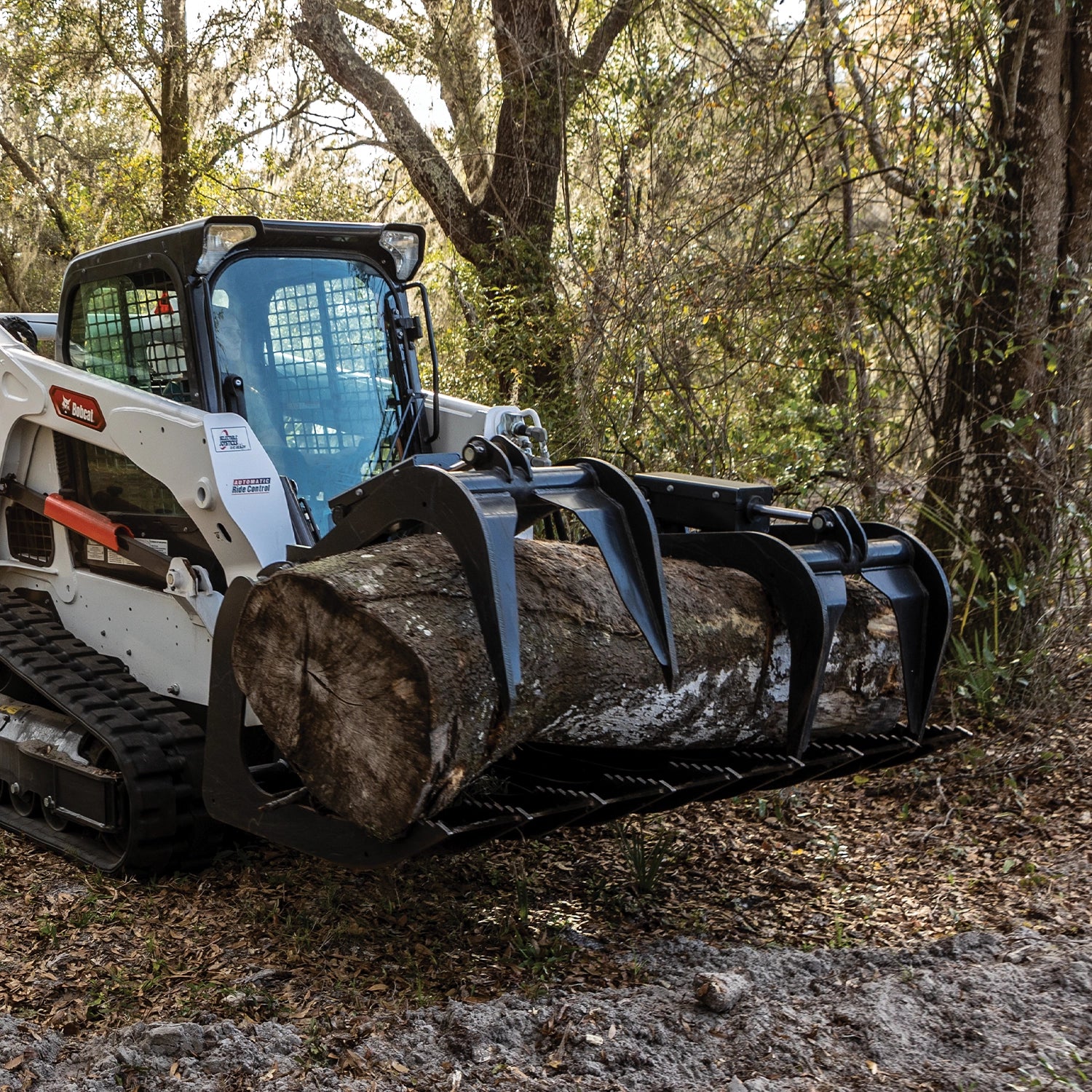 Grapple - Root | Bobcat