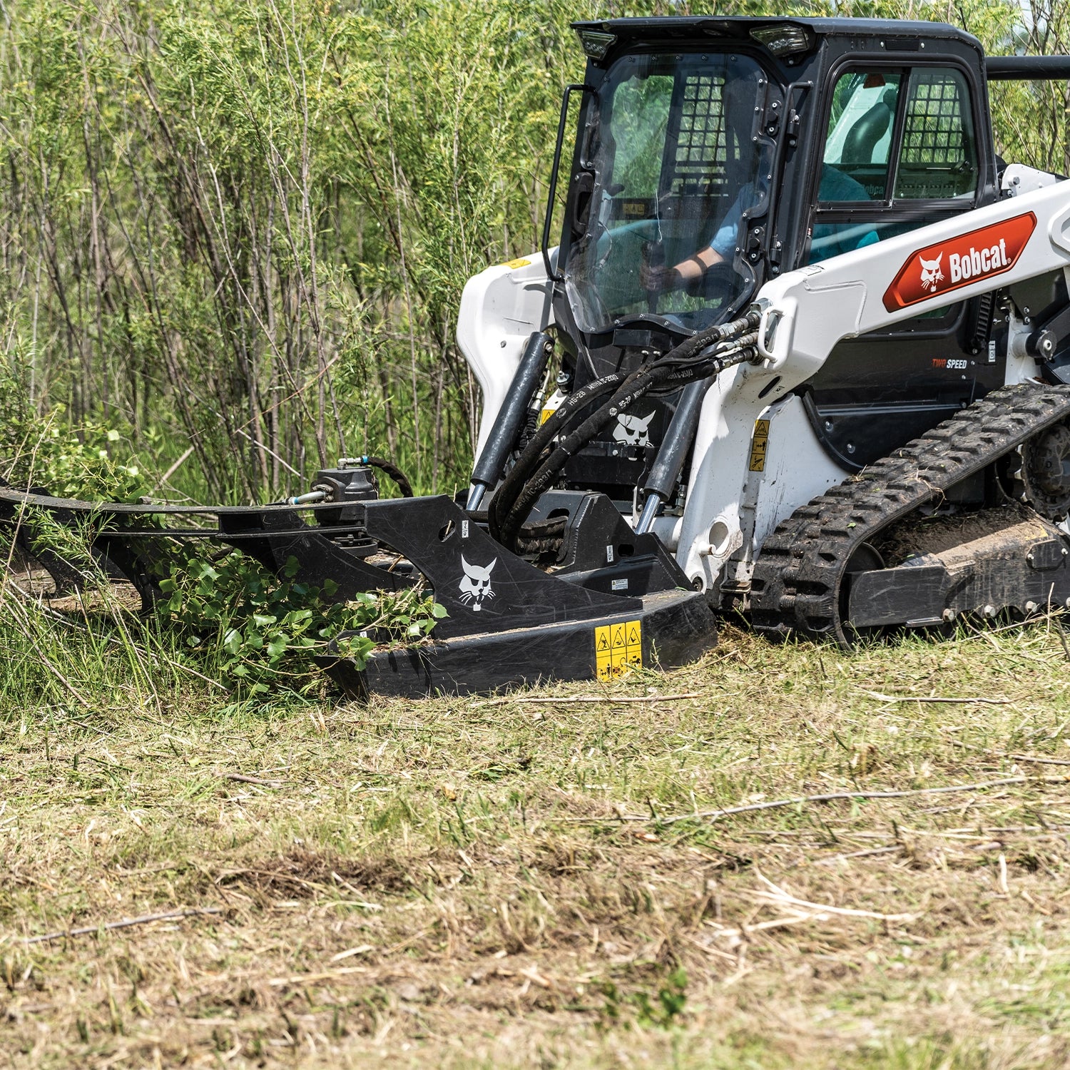 T66 | Bobcat