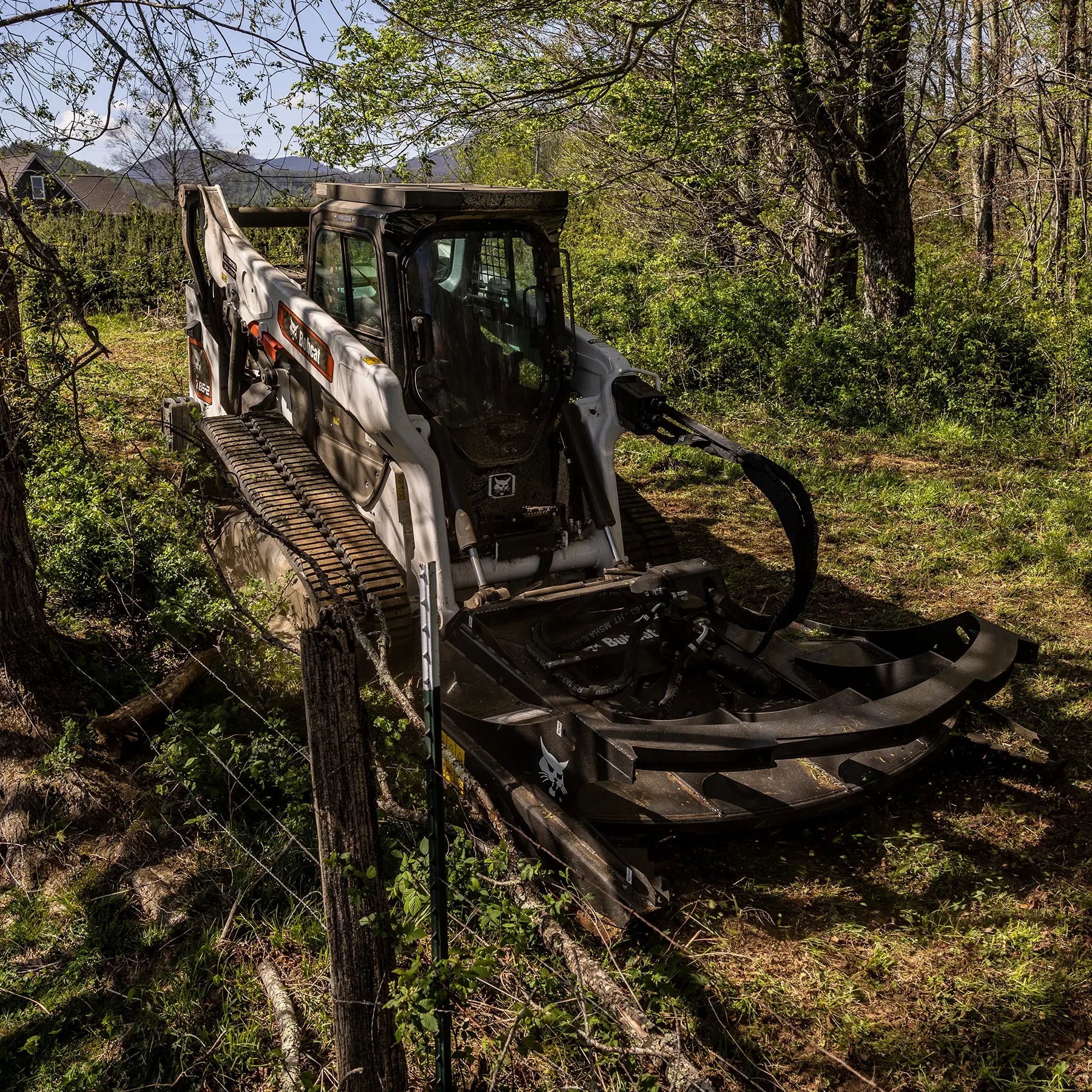 T86-2 | Bobcat