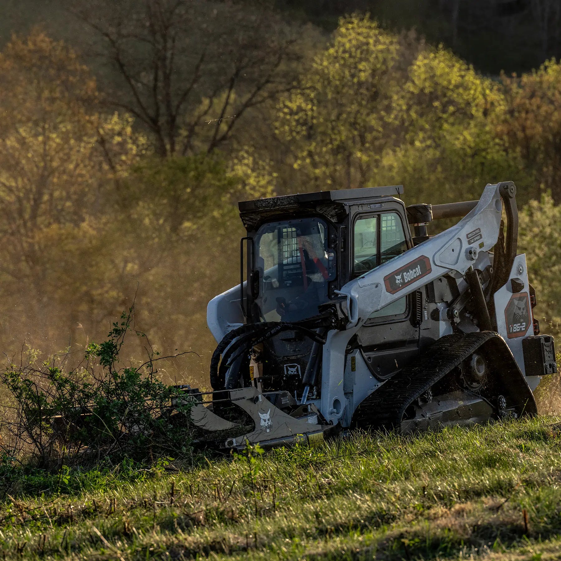 T86-2 | Bobcat