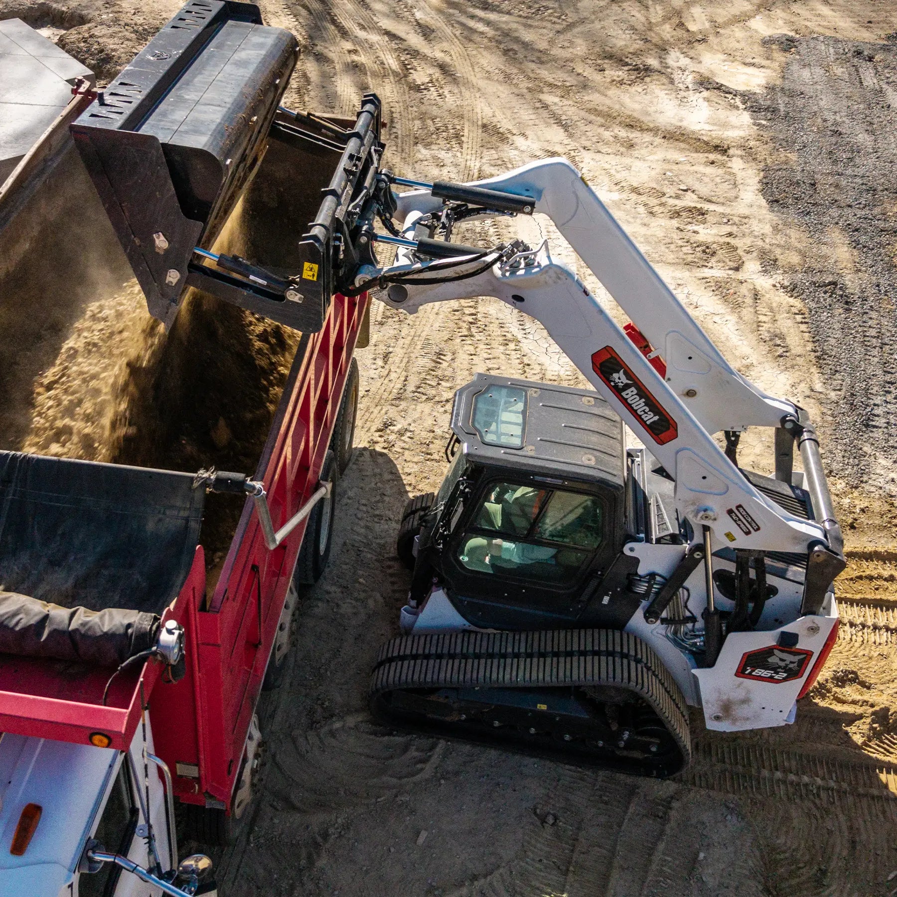 T86-2 | Bobcat