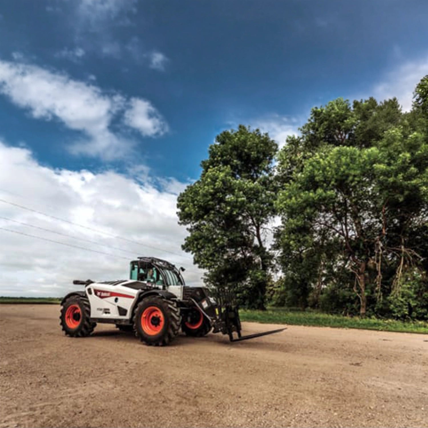 TL723 | Bobcat