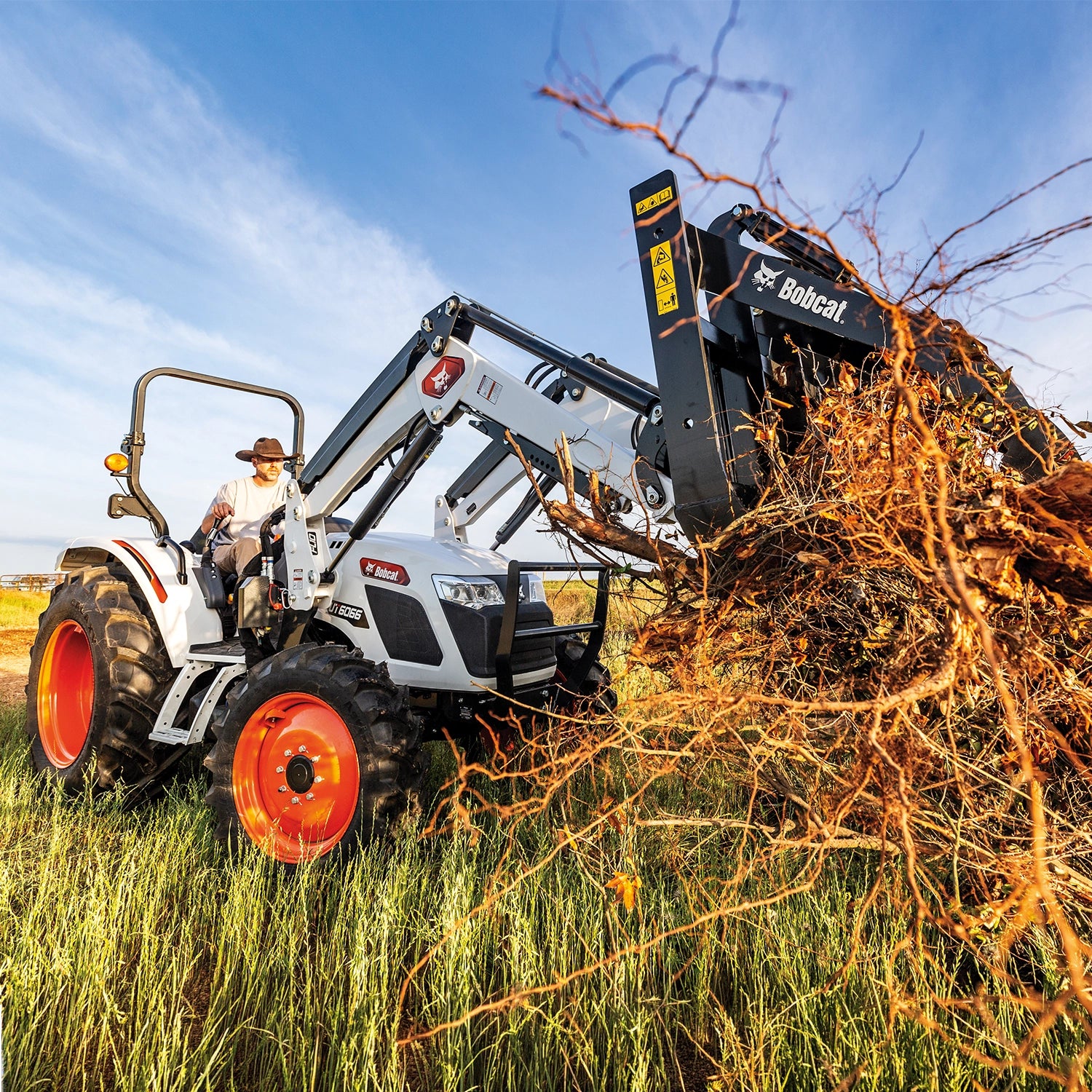 UT6066 | Bobcat