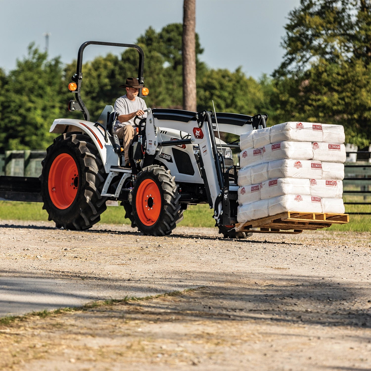 UT6066 | Bobcat