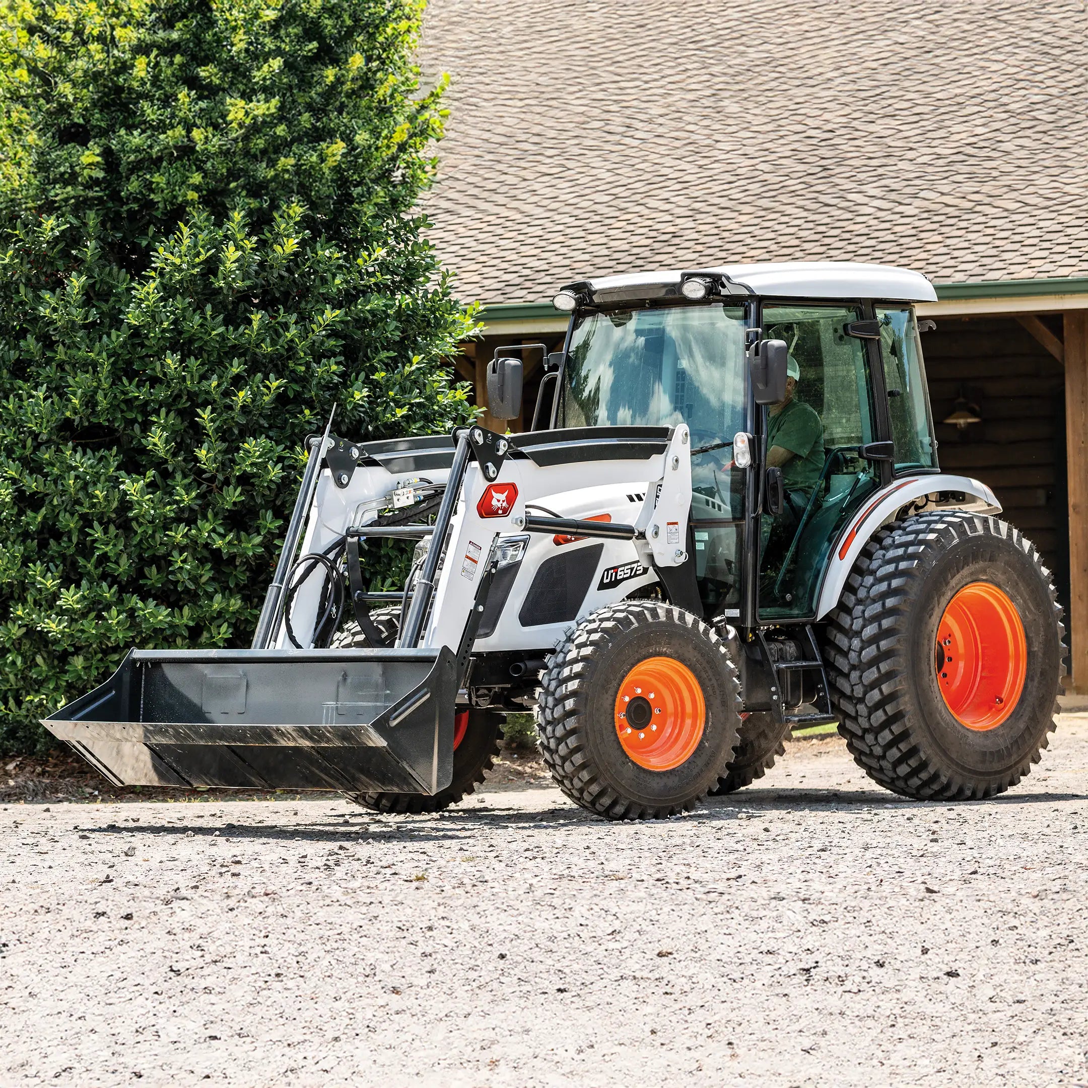 UT6573 | Bobcat