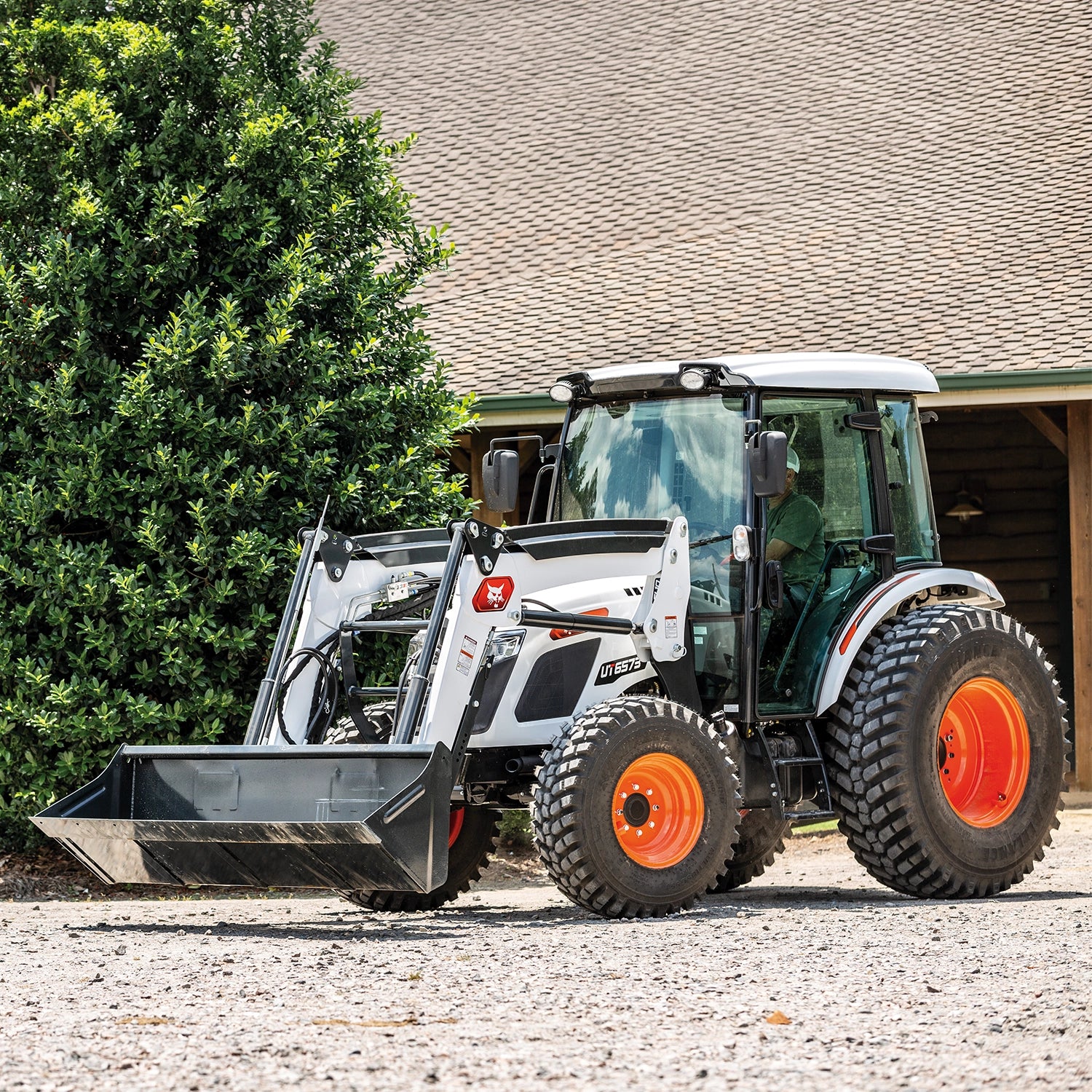 UT6573 | Bobcat