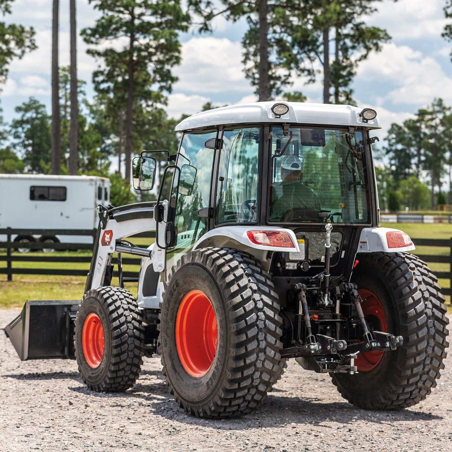 UT6573 | Bobcat