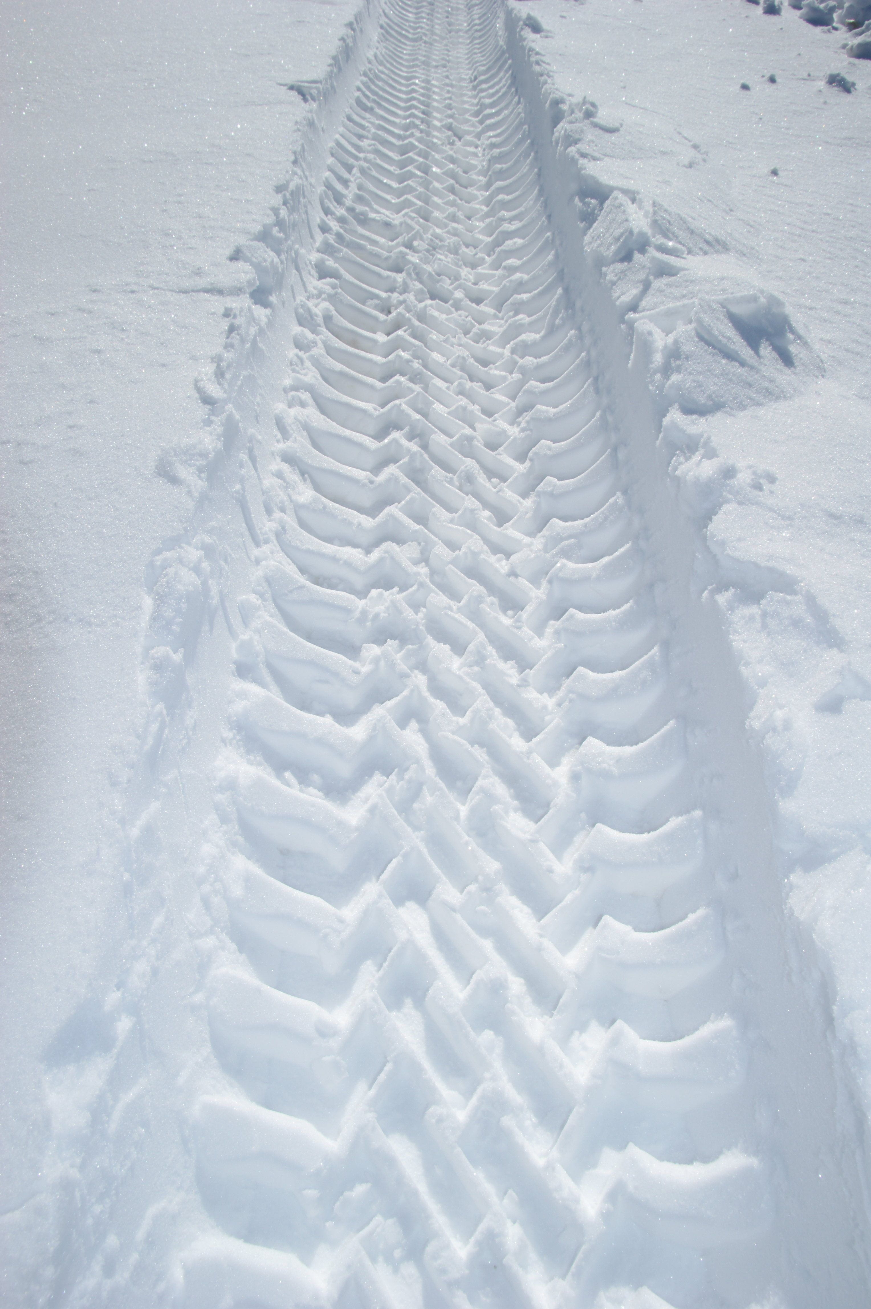 P100 WolfPaws | SnowWolf - Attachment Kings