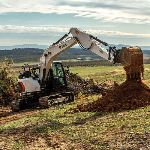 E145 | Bobcat