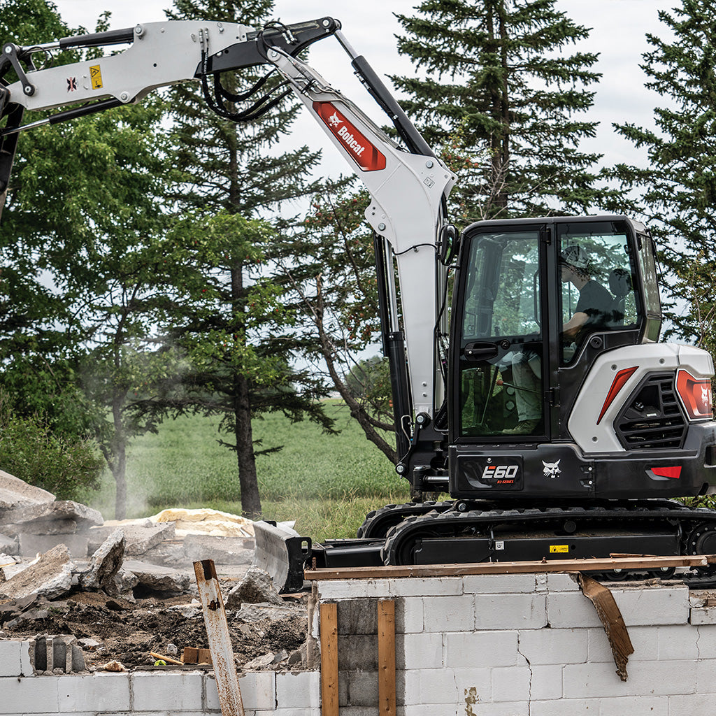E60 | Bobcat