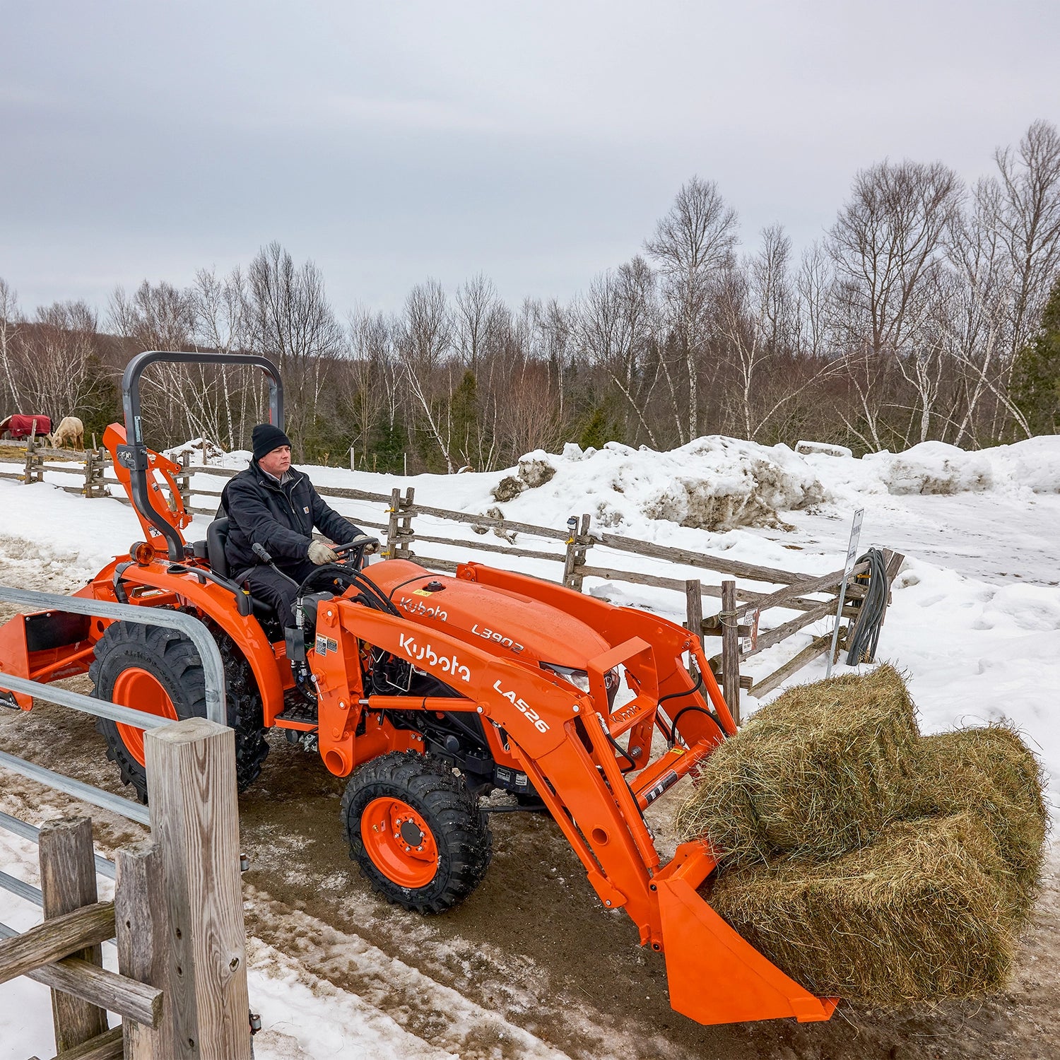 L3902 | Kubota