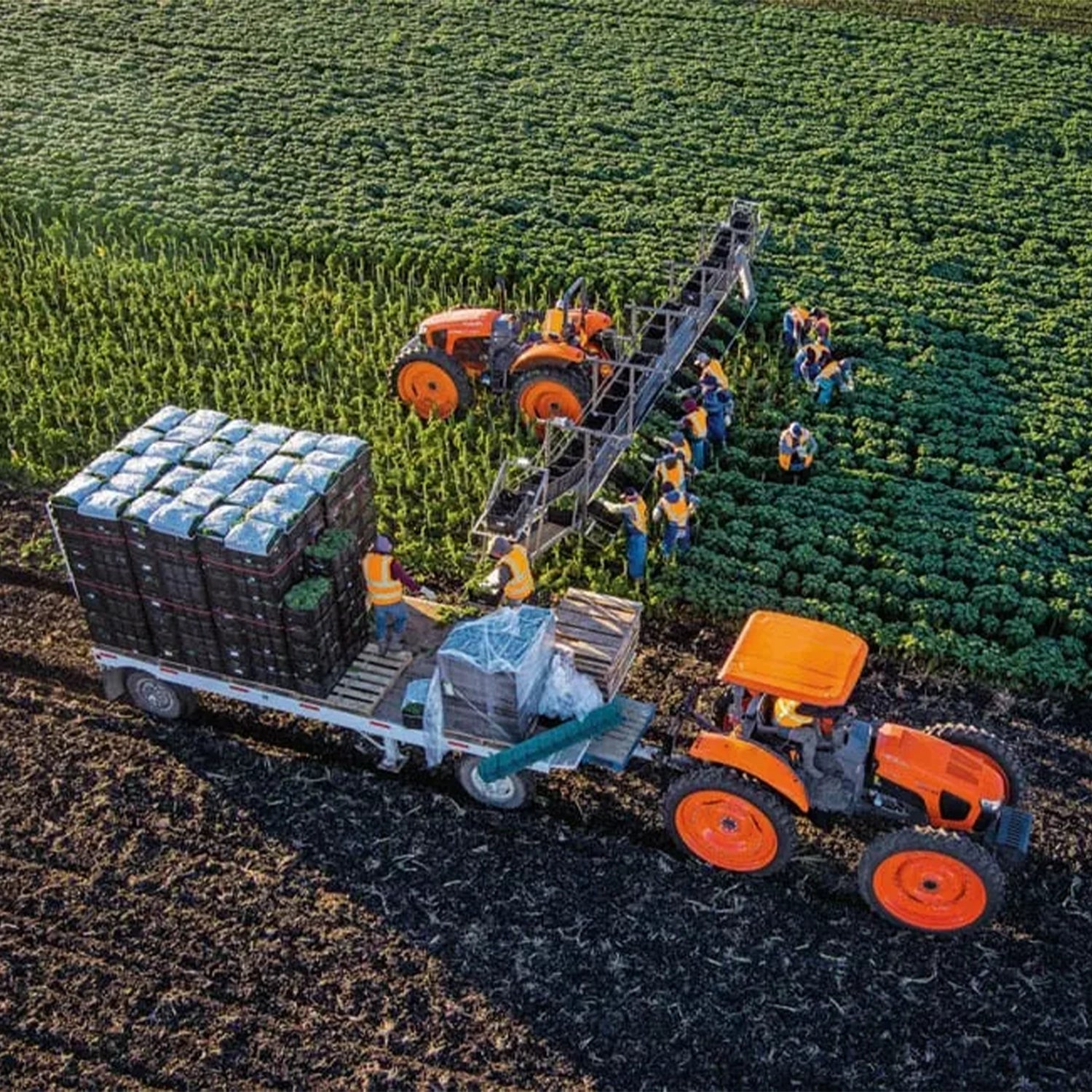 M6H | Kubota
