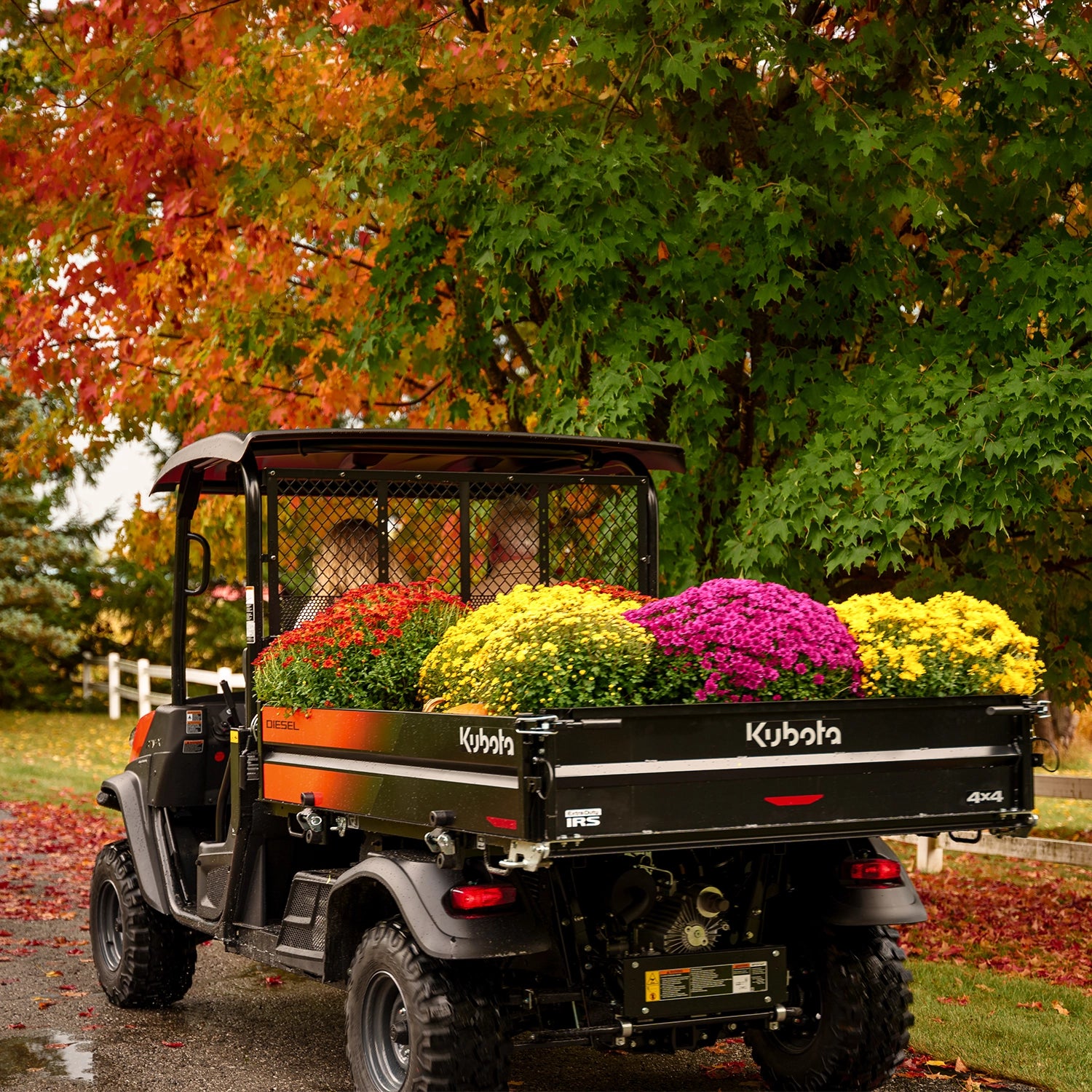 RTV-X LONG BED | Kubota