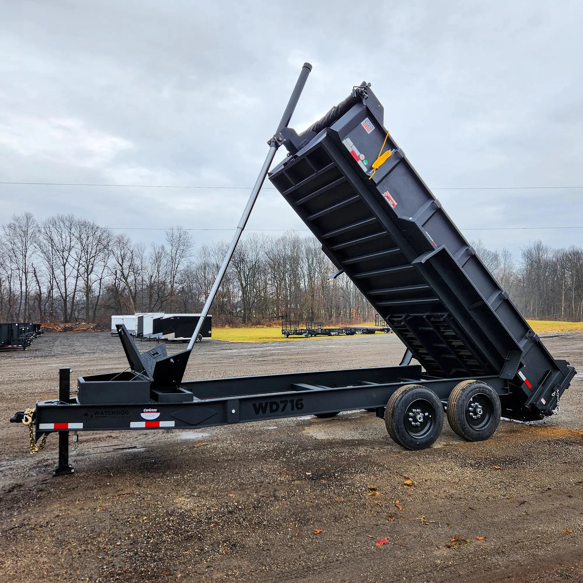 16' Pro-Line Dump Trailer Matte Black | Watchdog