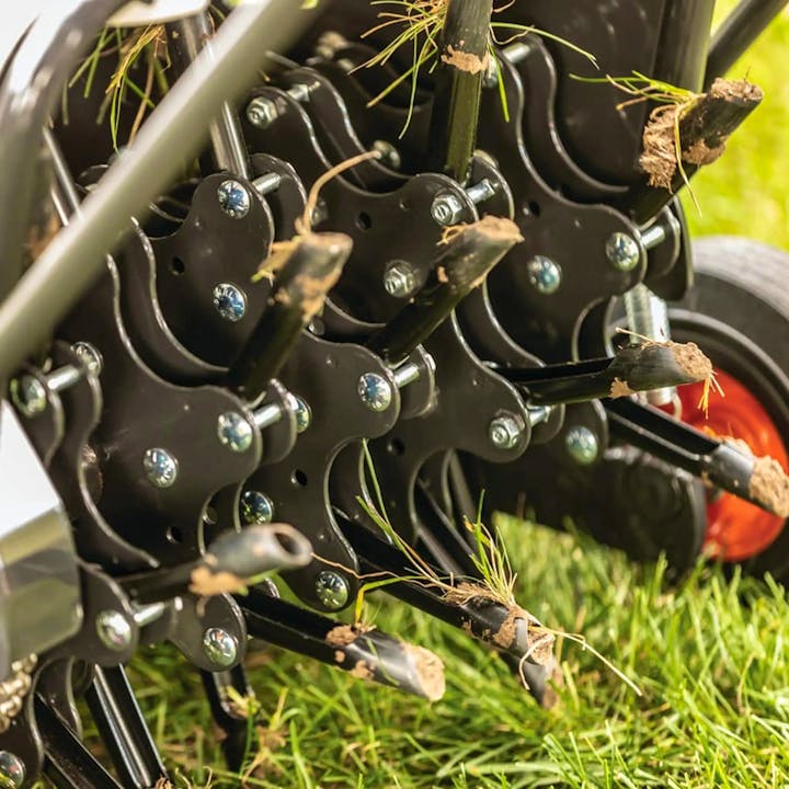 AE19 | Bobcat - Stock Image 2