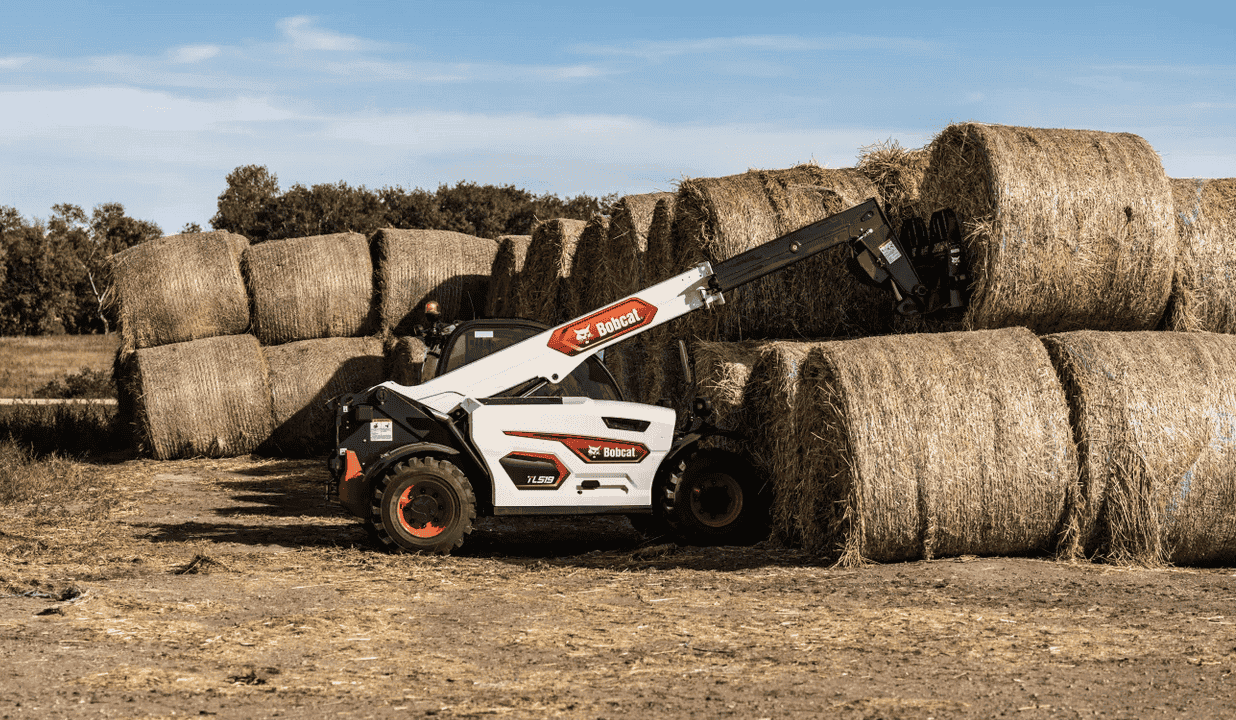 TL519 | Bobcat - Image 1