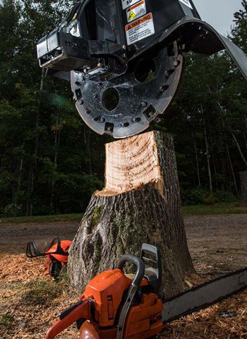 FST360 Stump Grinder | Fecon