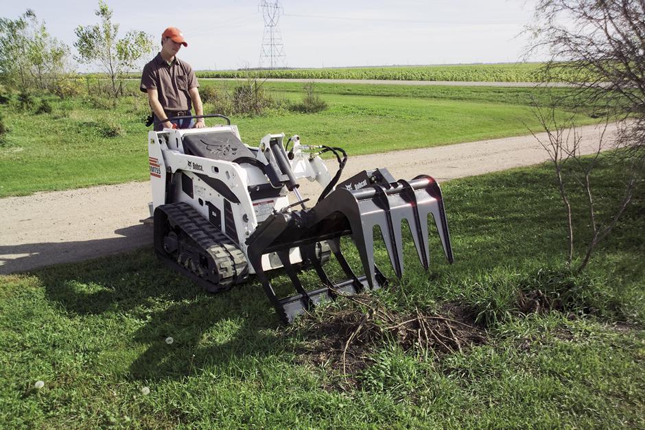 Grapple - Root | Bobcat