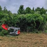 Deck Mulcher | Fecon