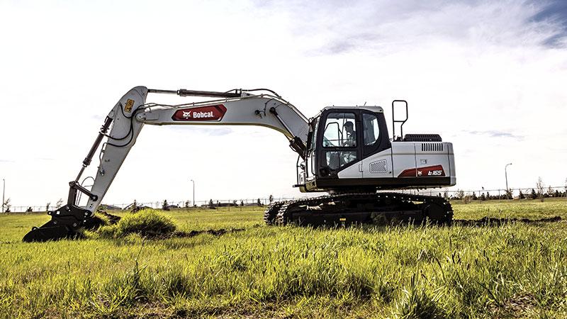 E165 | Bobcat