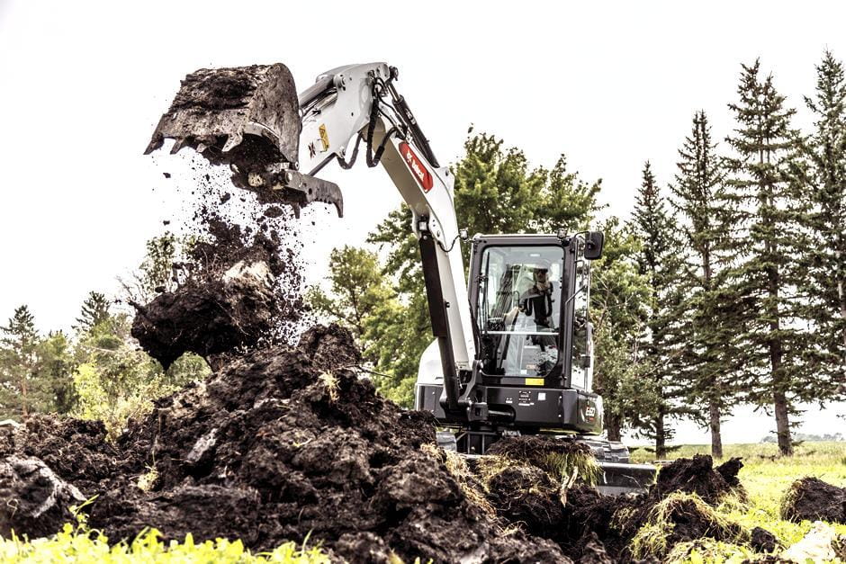E60 | Bobcat