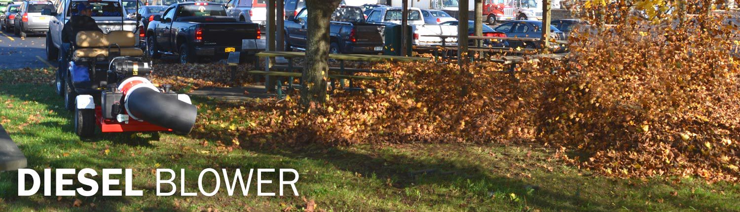 Diesel Blower | Buffalo Turbine