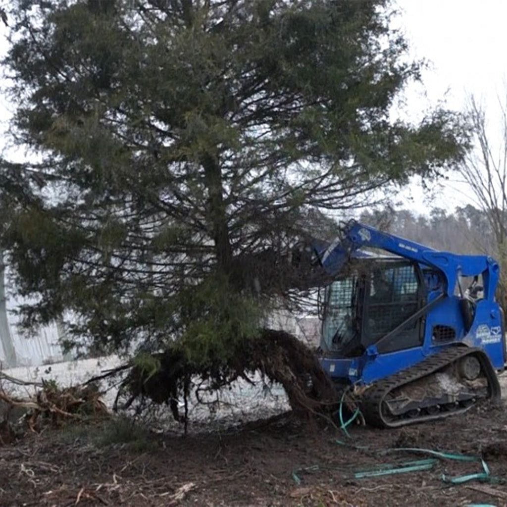 Tree Puller | Blue Diamond