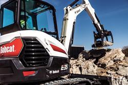 E35 | Bobcat
