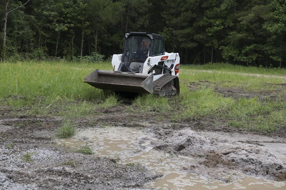 T550 | Bobcat