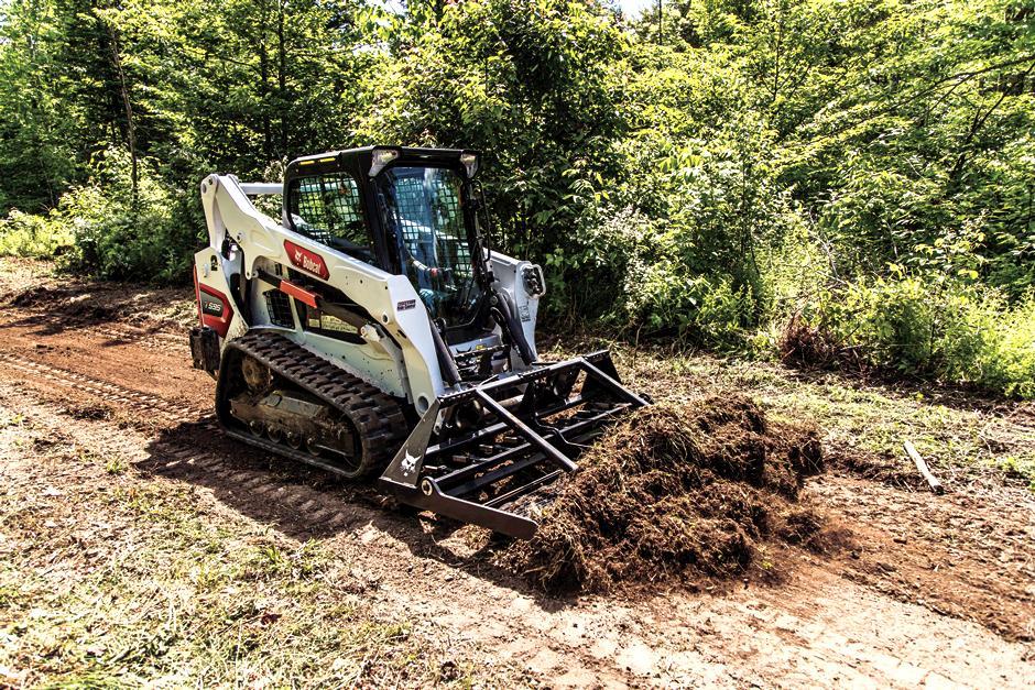 T595 | Bobcat