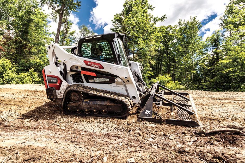 T595 | Bobcat