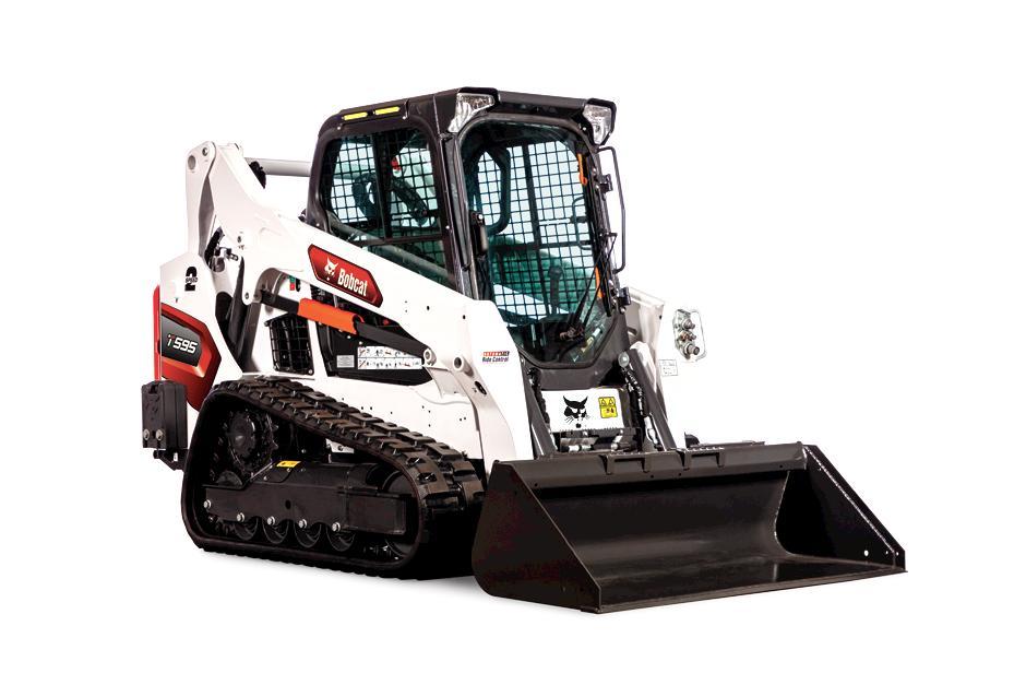 T595 | Bobcat