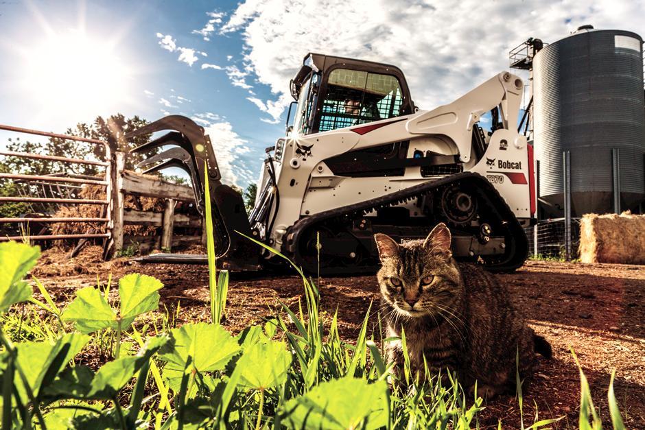 T870 | Bobcat