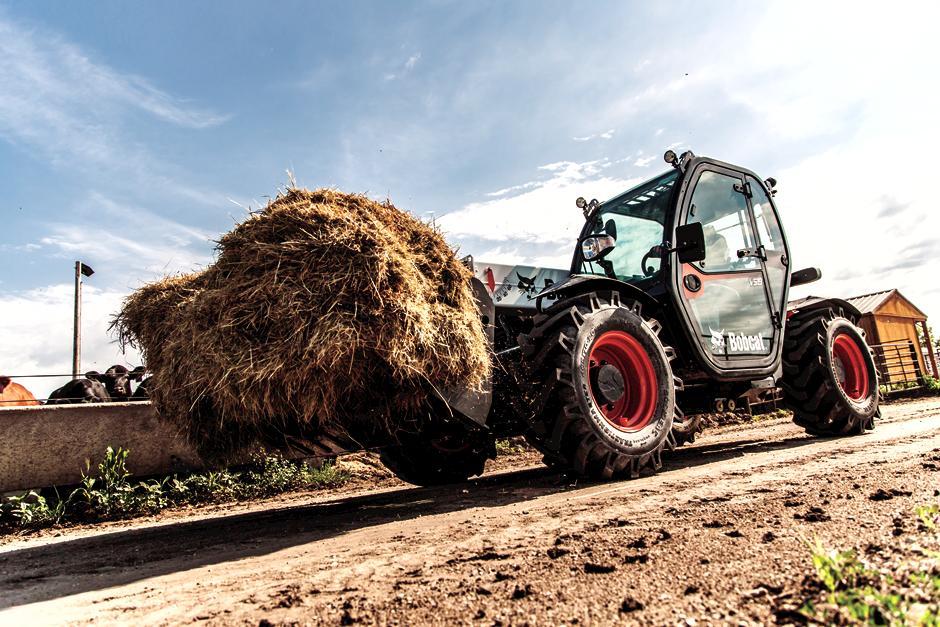 Grapple - Root | Bobcat