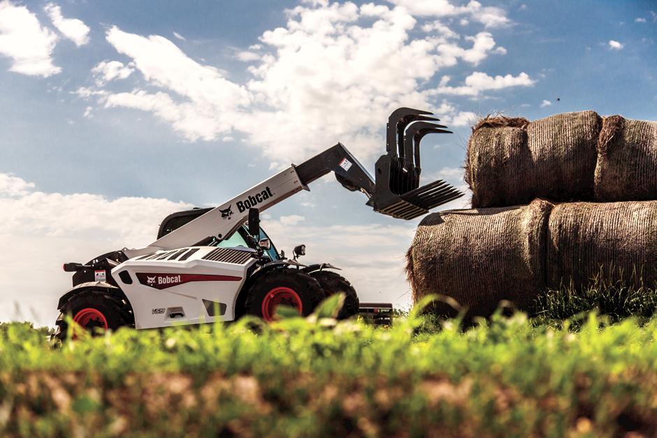 Grapple - Root | Bobcat