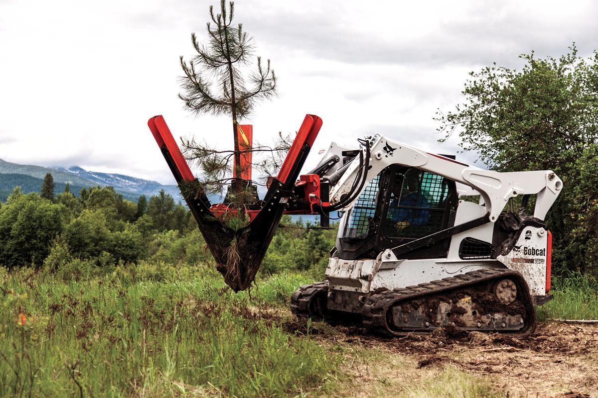 Tree Spade | Bobcat