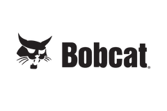 Bobcat