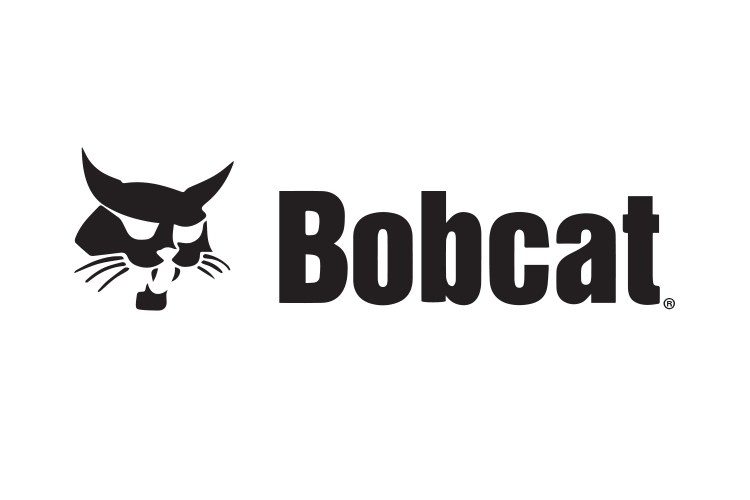 Bobcat